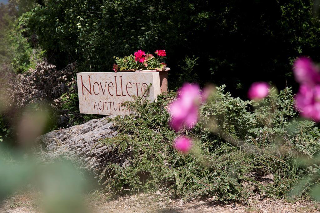 Novelleto Βίλα Monteriggioni Εξωτερικό φωτογραφία