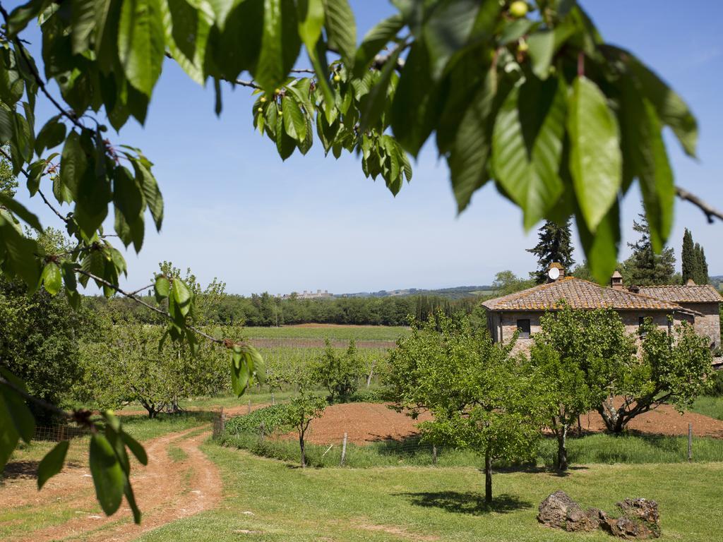 Novelleto Βίλα Monteriggioni Εξωτερικό φωτογραφία