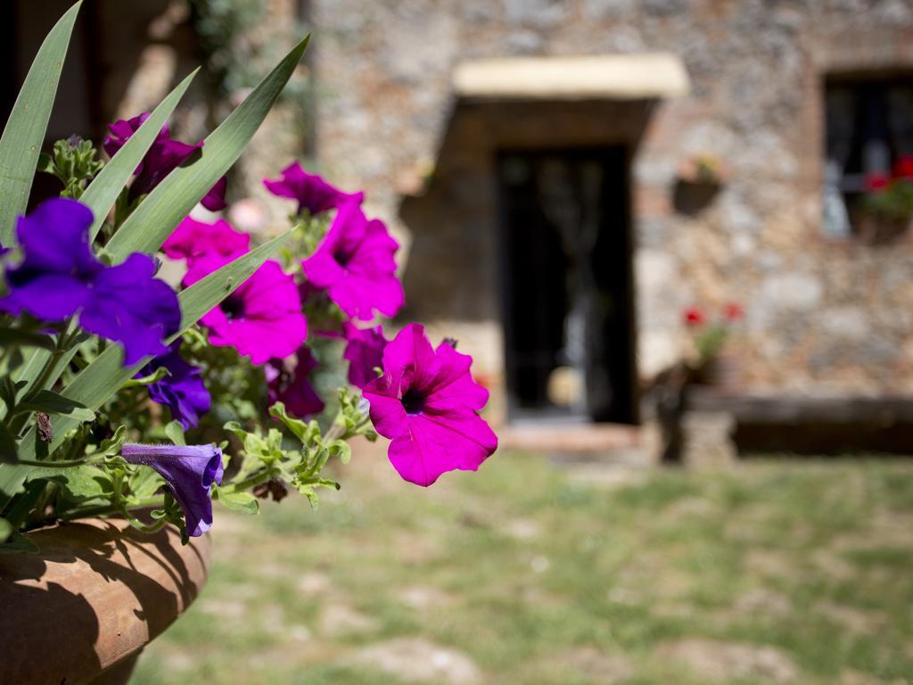 Novelleto Βίλα Monteriggioni Εξωτερικό φωτογραφία
