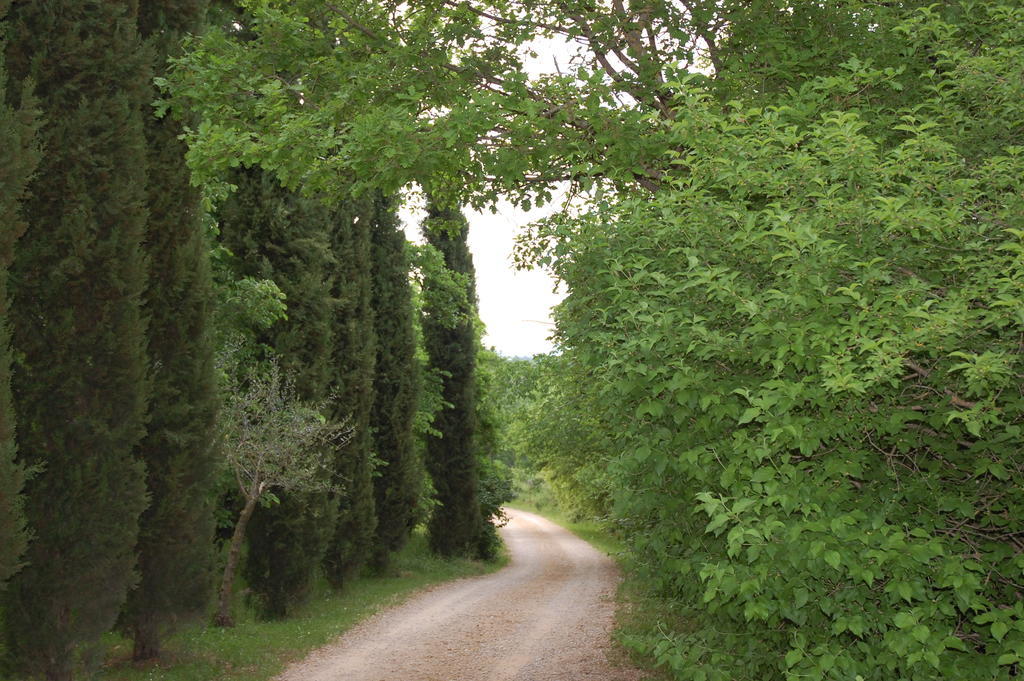 Novelleto Βίλα Monteriggioni Εξωτερικό φωτογραφία