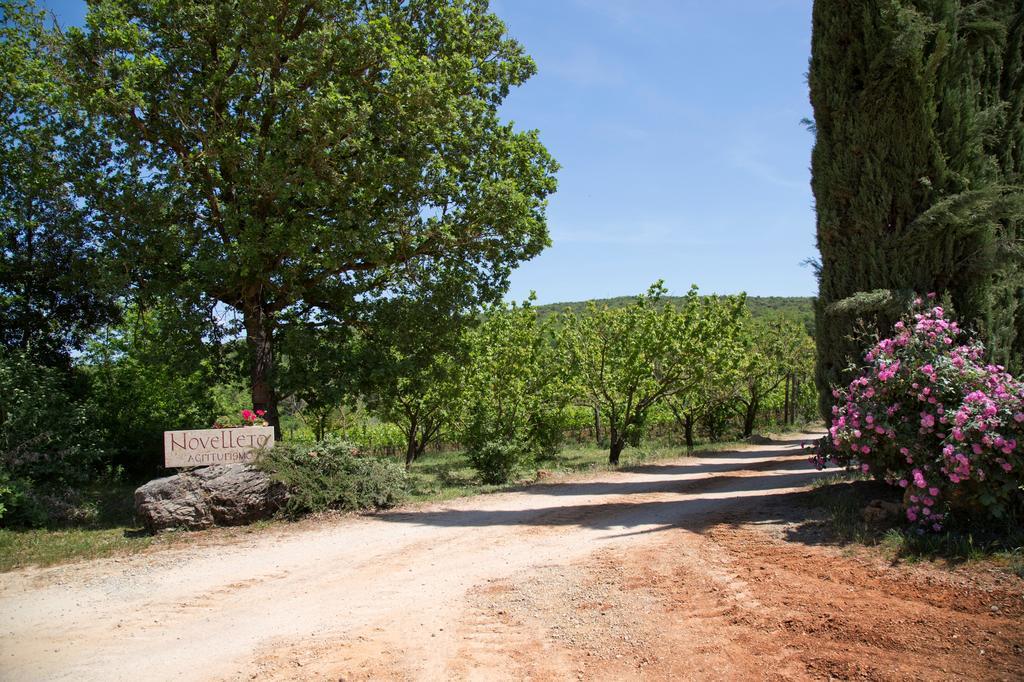 Novelleto Βίλα Monteriggioni Εξωτερικό φωτογραφία